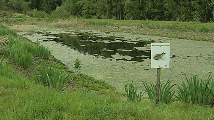 L'AIVE s'engage pour la biodiversité