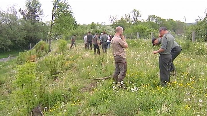 Tintigny : Natagora fleurit les prairies