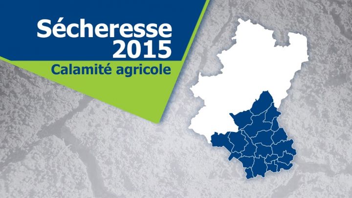 Sécheresse 2015 : un pas vers la reconnaissance en calamité agricole
