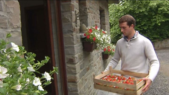 Marche-en-Famenne. Ils se sont lancés dans la culture de fraises