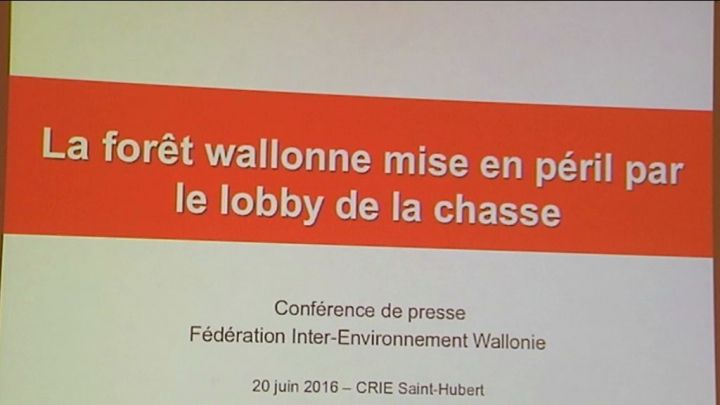 Les chasseurs mettent-ils la forêt en péril ?