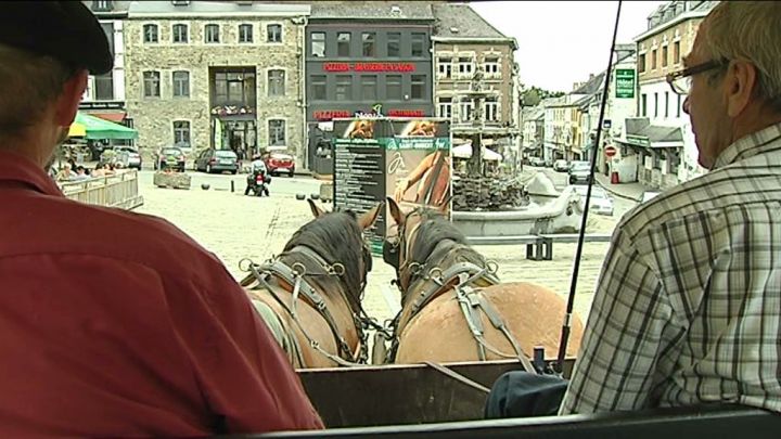 Saint-Hubert : une promenade touristique originale