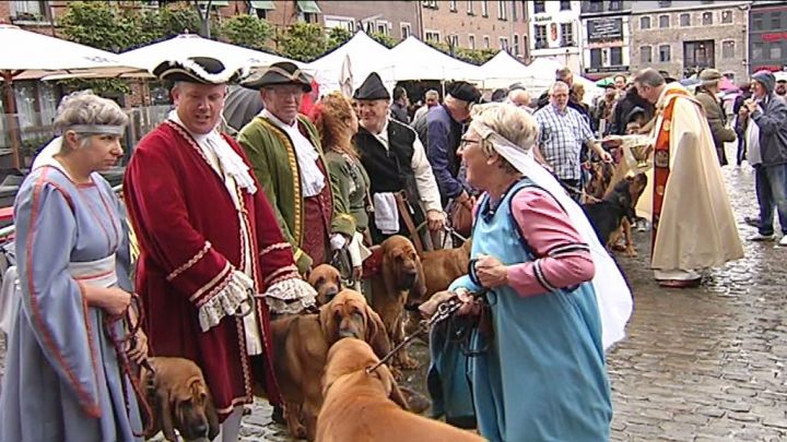 Saint-Hubert : bénédiction des animaux à la Fête de la Chasse