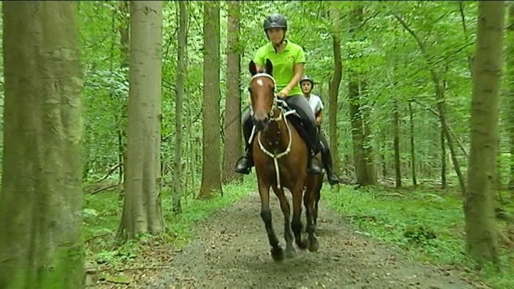 EQUITATION : Elisa ARNOULD, championne de Belgique dendurance