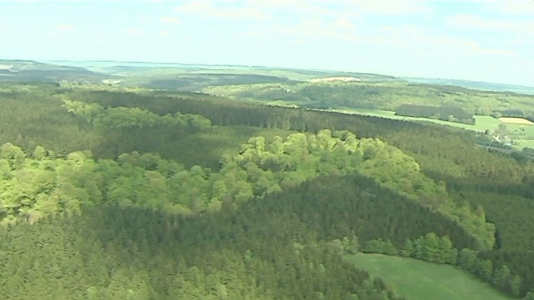 Code forestier wallon : la majorité retire son projet