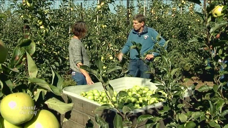 AU CHANT DU COQ – Arboriculture fruitière