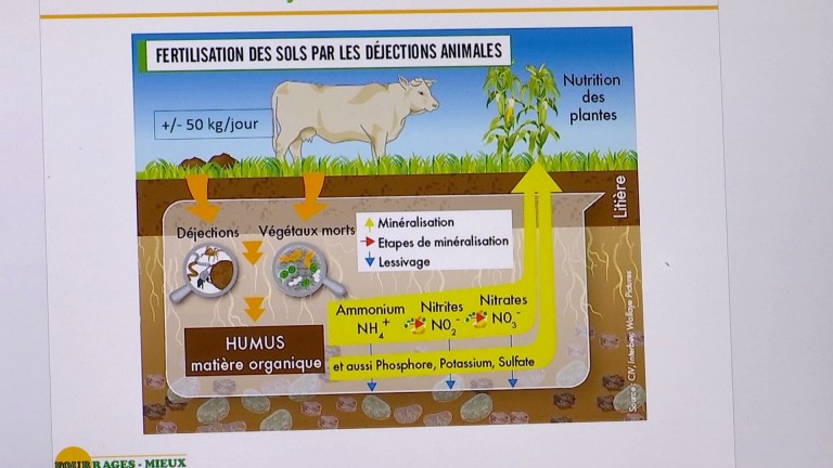 Des analyses gratuites pour mieux gérer la fertilisation des sols