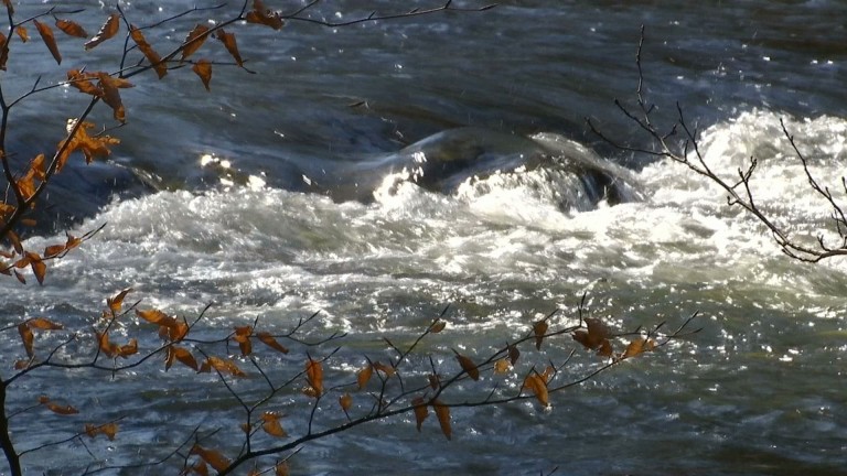 De nouvelles actions pour préserver le bassin de l'Ourthe