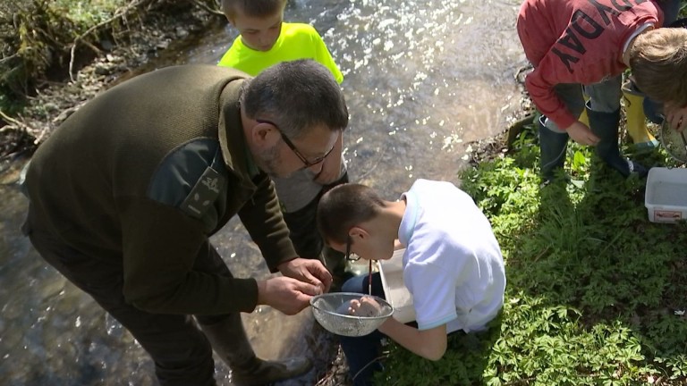 Jéhonville : des élèves à la sauvegarde des saumons