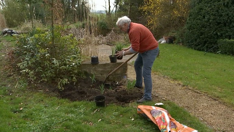 Printemps : que faire dans les jardins ?