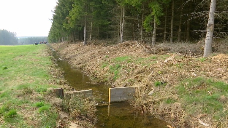 Gouvy. Des canaux d'irrigation, comme au 19ème...