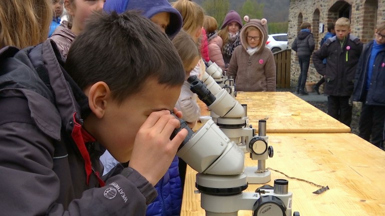 400 élèves pour le 4e "Junior Trophy" à Saint-Hubert