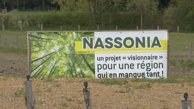 Nassonia, projet mort-né !