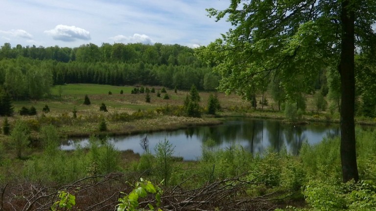 Locations de chasse : coup de maître de Pro Nassonia