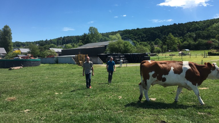 20 ans de bio pour la Ferme Renaud à Bourdon 