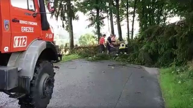 Manhay et Houffalize : arbres abattus, routes et caves inondées