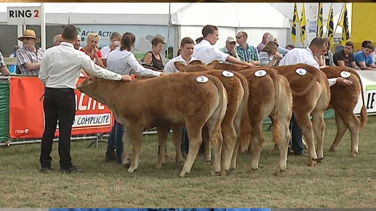 "Cultivons le climat" : thème de la Foire 2017