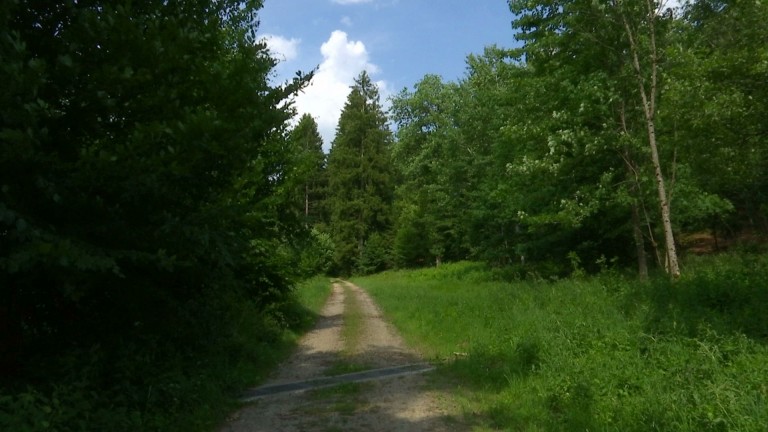 Ecolo s'oppose à la vente du Bois des Croisettes