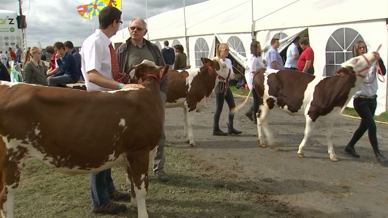 Foire de Libramont : c'est parti pour six jours !
