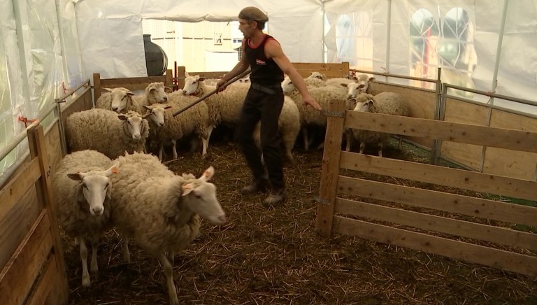 Alternative à la grande, la Petite foire prend de l'ampleur