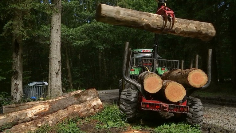 #Foire. Les démonstrations en forêt débutent ce mardi 1er août!