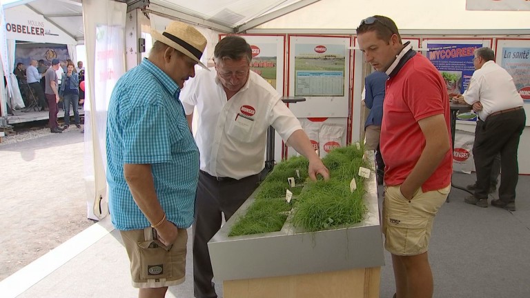 Foire Libramont : 212.173 visiteurs et des exposants satisfaits