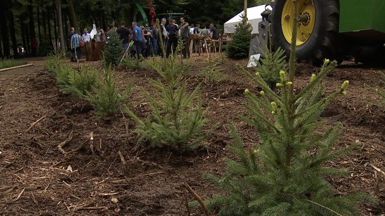 Grosse affluence pour la 2e journée de Démo Forest