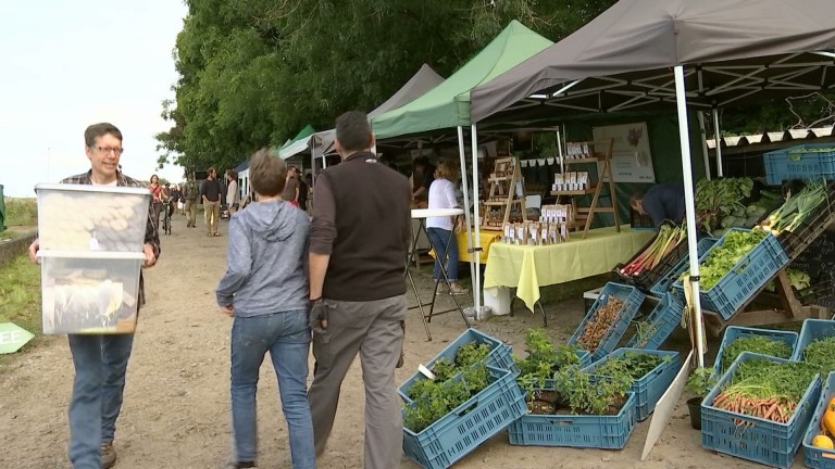 La petite foire grandit bien