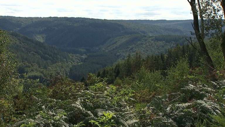 A la découverte des plus beaux paysages et de leurs richesses 