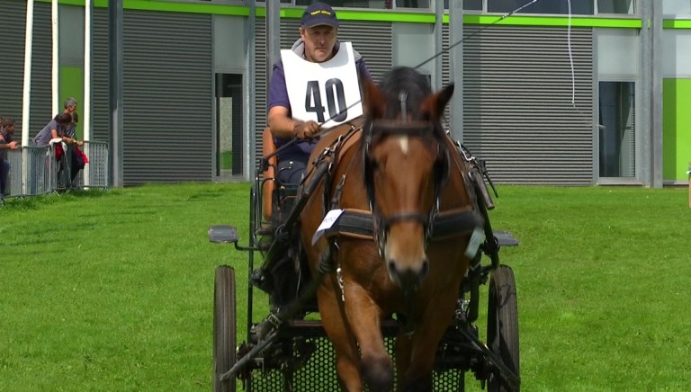 La "Route du Luxembourg belge" : le cheval de trait en vedette !