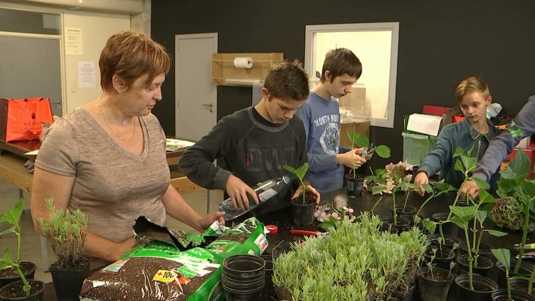 Maraîchage bio, marketing digital ... l'IFAPME vous forme !