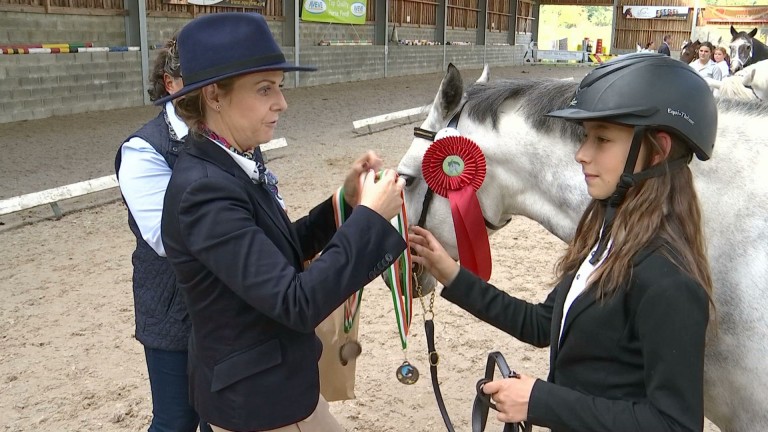 Hatrival : le connemara irlandais à l’honneur 