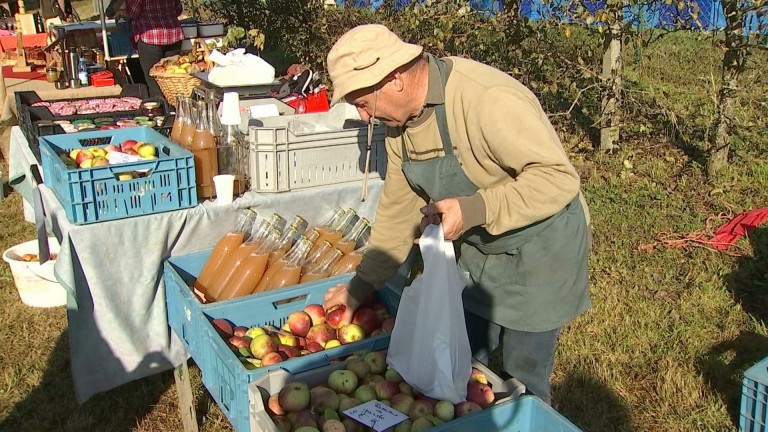 Tronquoy : les pommes anciennes bien gourmandes