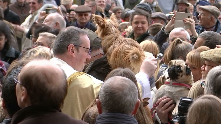 Sain-Hubert : la grande foule pour la bénédiction des animaux