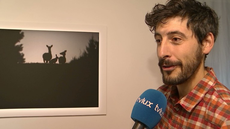 La poésie des forêts d’Ardenne captée par Martin Dellicour (Erezée) 