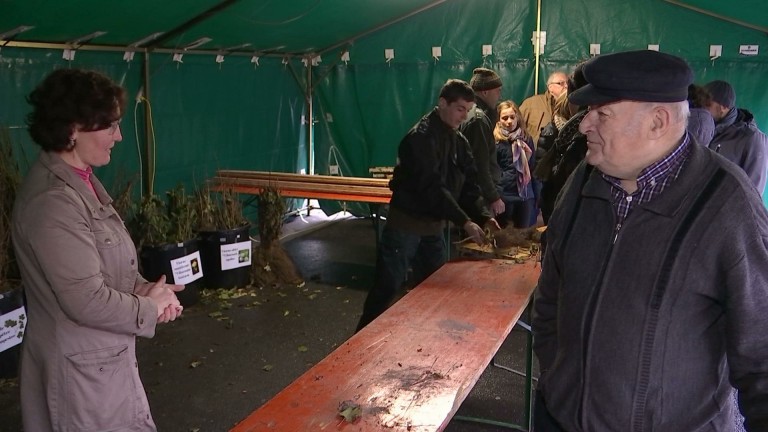 Distribution d'arbres à Vielsalm