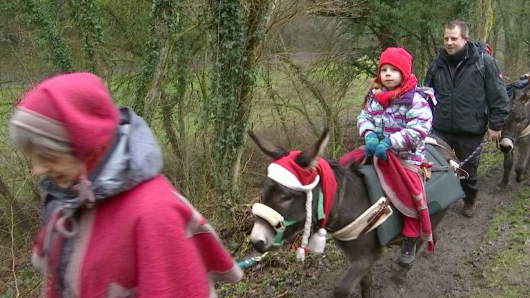 Marche : en balade avec les ânes