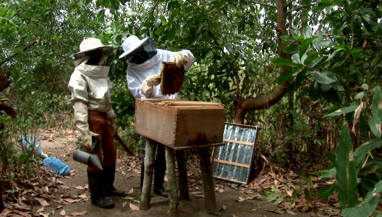 Ibi village fabriquera les ruches du conseil communal des enfants de Paliseul