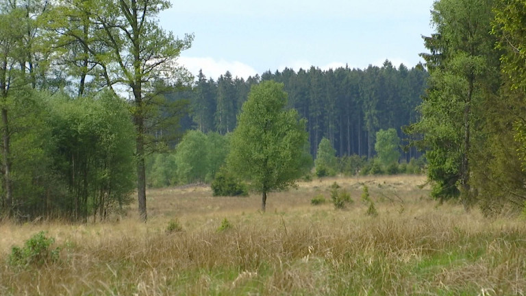 Signature de la première charte forestière de territoire en Wallonie!