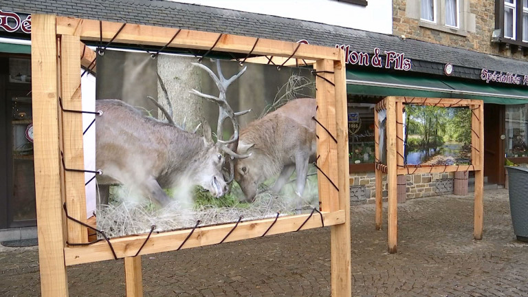 La Roche-en-Ardenne : une exposition "grandeur nature"