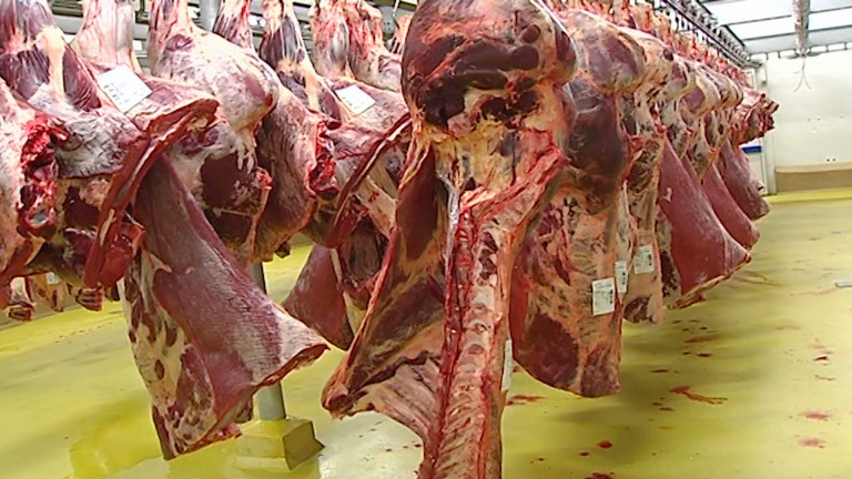 Véviba : déjà des soupçons de fraude à l'abattoir de Bastogne en 2001