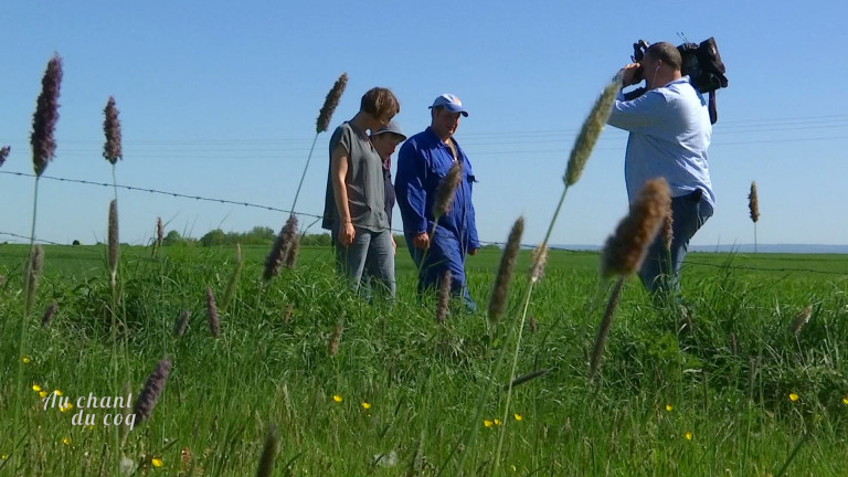 Au Chant du Coq - service de remplacement agricole