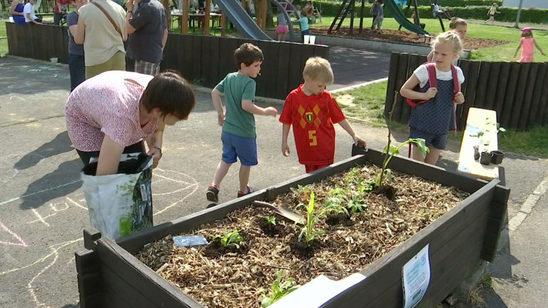 Florenville. Des potagers en libre-service