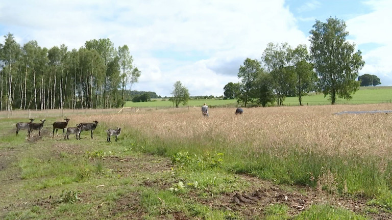 Grandvoir : une ferme ouverte à la biodiversité