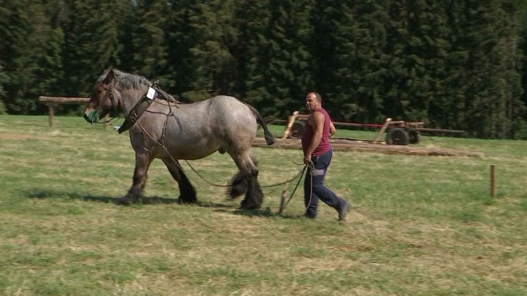 Week-end du cheval à Auby-sur-Semois