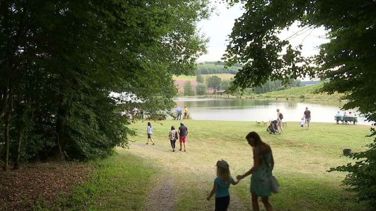 Vaux-sur-Sûre : découvrir la nature de manière ludique 