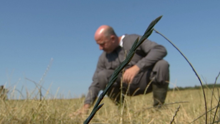 Foire agricole. Sécheresse dans les fermes: pas encore catastrophique mais...