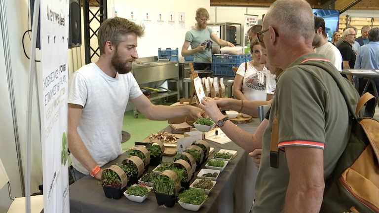 Goodfood, la stratégie bruxelloise pour une agriculture urbaine