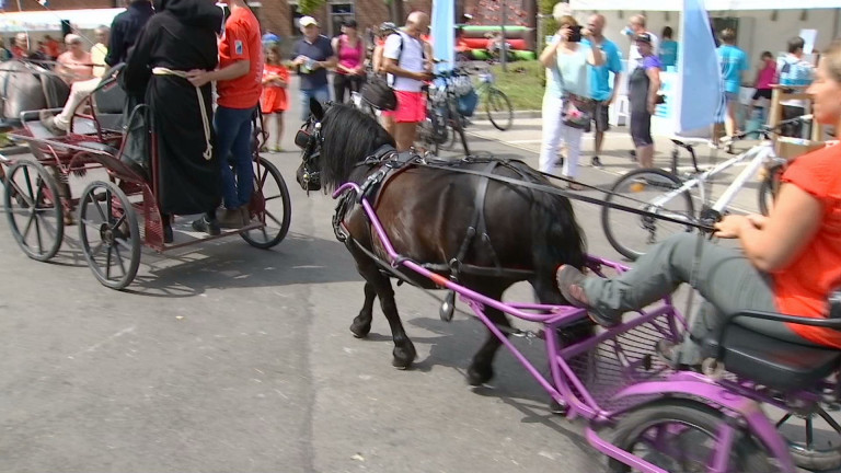 Vélos et Chevaux s'associent pour le Beau Vélo à Vielsalm