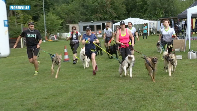 1ère édition de la "Dingotte Crazy Dog Run" 